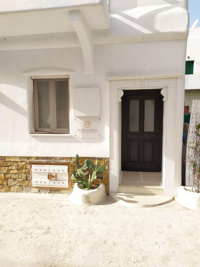 Narcissus Luxury Suites Naxos City المظهر الخارجي الصورة