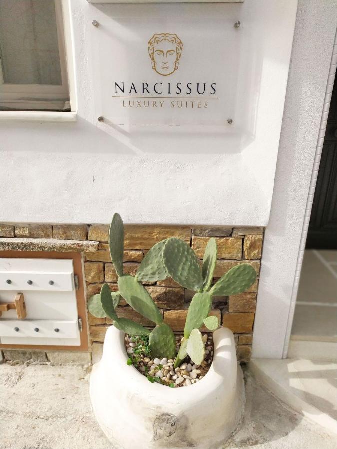 Narcissus Luxury Suites Naxos City المظهر الخارجي الصورة
