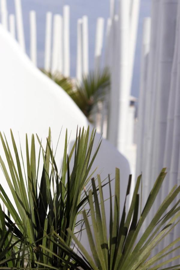 Narcissus Luxury Suites Naxos City المظهر الخارجي الصورة